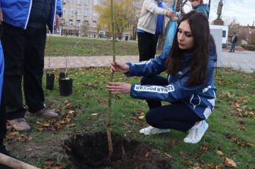 В Северодонецке ко Дню народного единства Дарья Лантратова и единороссы высадили "Аллею дружбы" и вручили паспорта детям