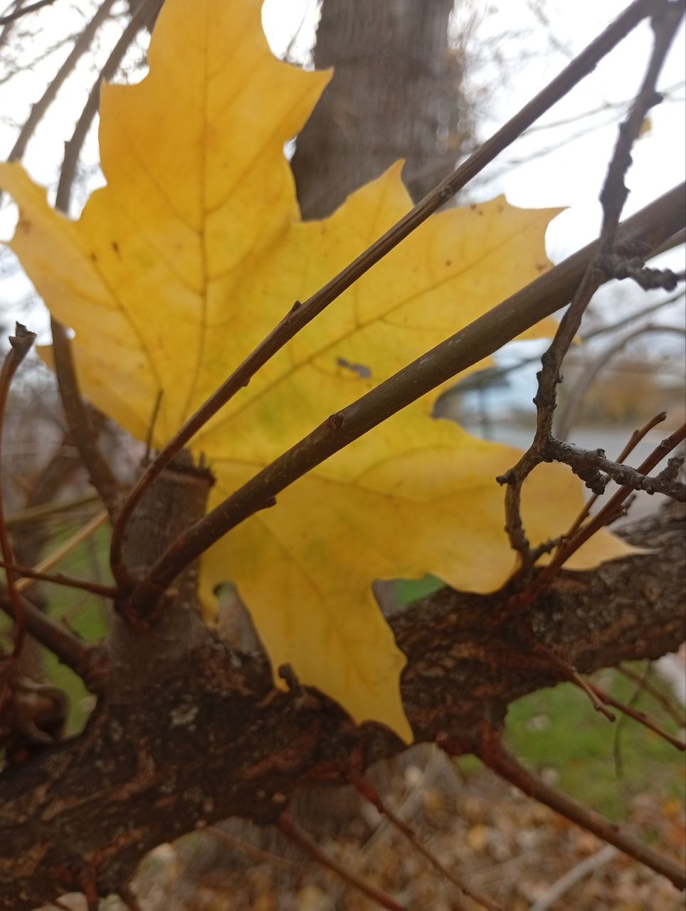 Доброе утро!. Ваш прогноз погоды на вторник, 4 ноября: Ночь (00:01-06:00) Пасмурно, +5...+6°C Температура понижается Утро (06:01-12:00) Пасмурно, +5...+9°C Постепенное потепление День (12:01-18:00) Пасмурно, +9...+11°C...