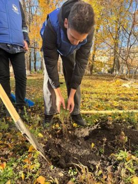 Волонтёры Победы высадили деревья в память о героях