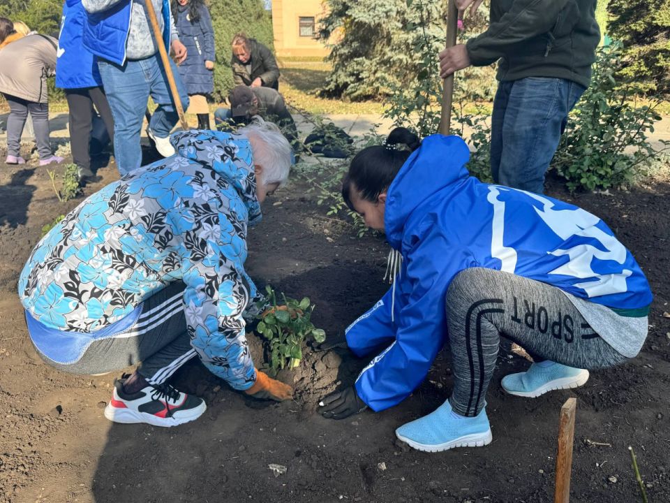 Более 200 кустов роз высадили активисты «Единой России» в Красном Луче Более 200 кустов роз высадили активисты «Единой России» в Красном Луче