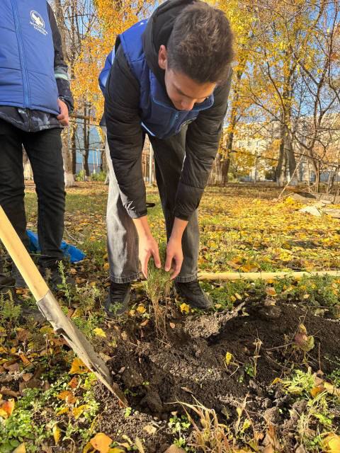 Волонтёры Победы высадили деревья в память о героях