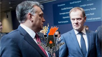    .   : "         ,      :    ,     "