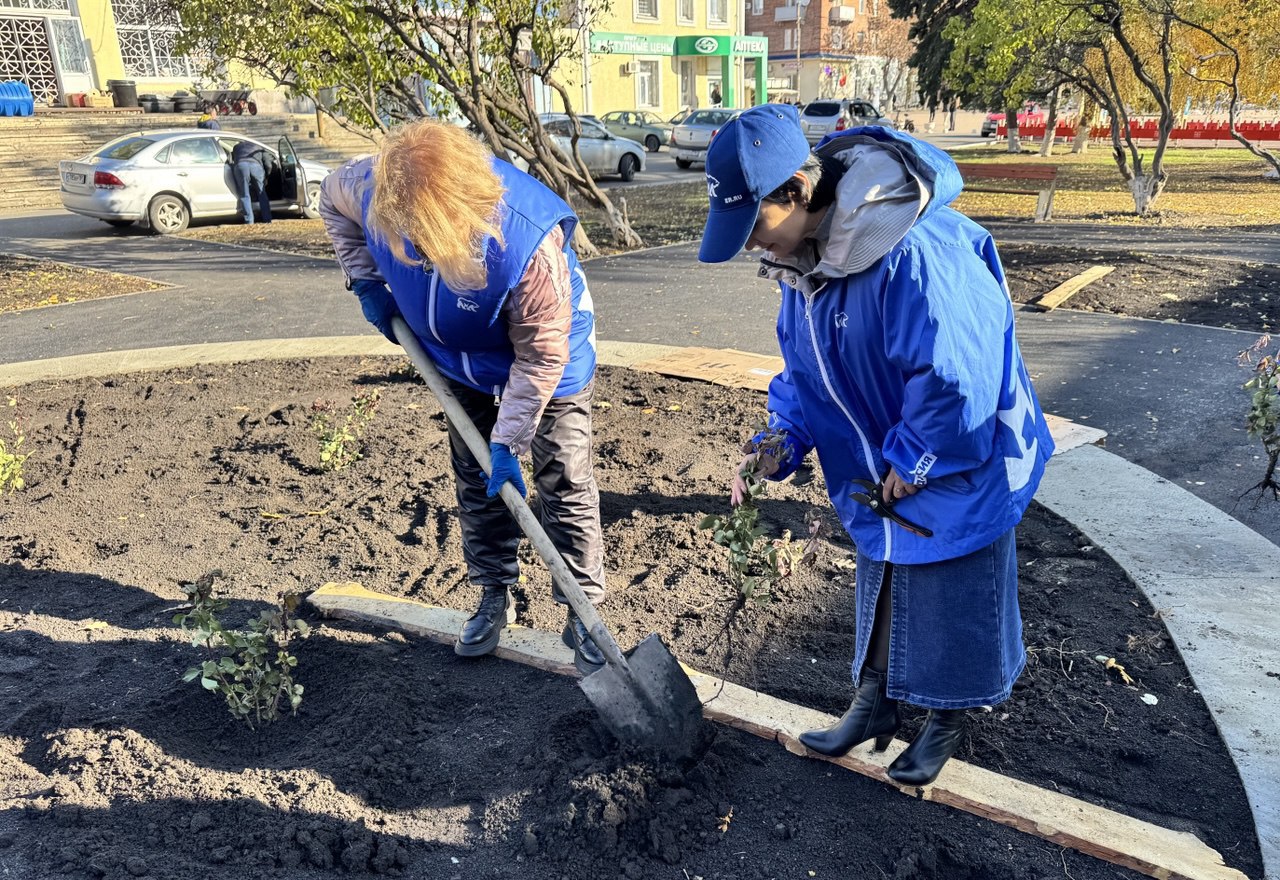 Более 200 кустов роз высадили активисты «Единой России» в Красном Луче Более 200 кустов роз высадили активисты «Единой России» в Красном Луче