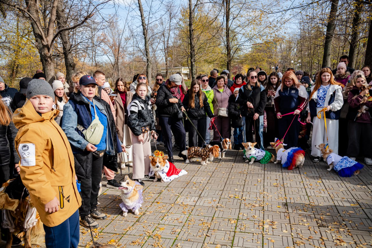 В День народного единства в луганском парке им. М. Горького прошли масштабные культурные мероприятия В День народного единства в луганском парке им. М. Горького прошли масштабные культурные мероприятия