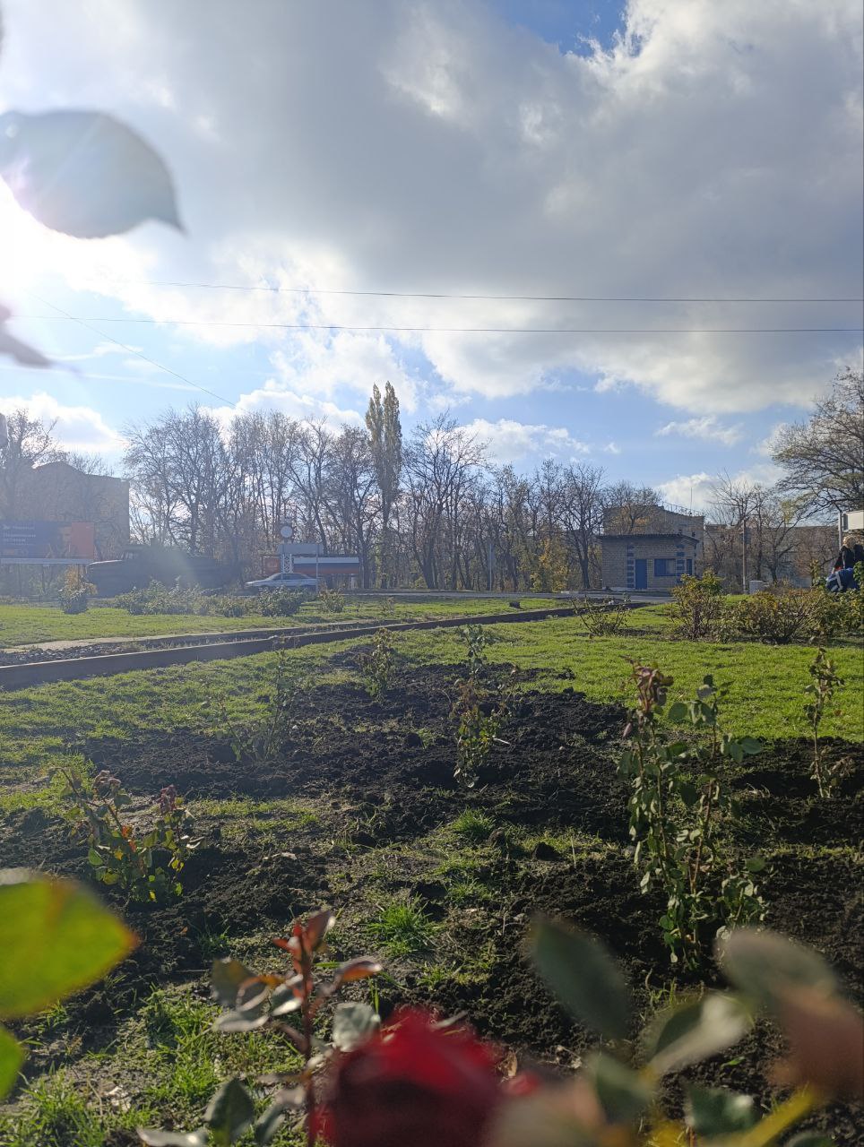 Более 200 кустов роз высадили активисты «Единой России» в Красном Луче Более 200 кустов роз высадили активисты «Единой России» в Красном Луче