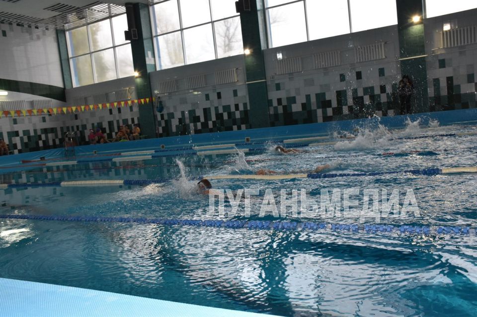 В спорткомплексе Антрацита среди школьников прошел турнир по плаванию В спорткомплексе Антрацита среди школьников прошел турнир по плаванию