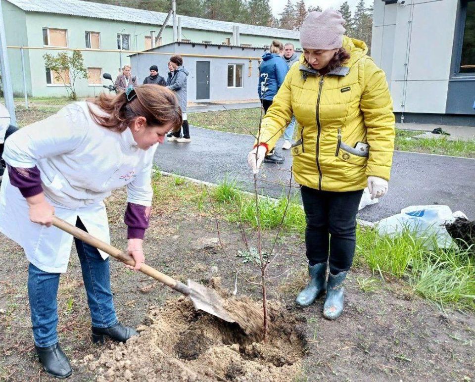 К празднику по всей республике единороссы высадили «Аллеи единства» К празднику по всей республике единороссы высадили «Аллеи единства»