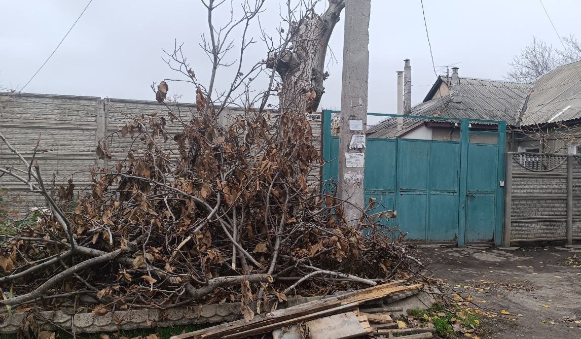 Сотрудниками управления экологии с целью соблюдения физическими и юридическими лицами требований «Правил благоустройства территории муниципального образования городской округ город Луганск Луганской Народной Республики»... Сотрудниками управления экологии с целью соблюдения физическими и юридическими лицами требований «Правил благоустройства территории муниципального образования городской округ город Луганск Луганской Народной Республики»...