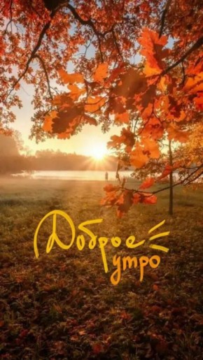 С ДОБРЫМ УТРОМ!. Сегодня 5 ноября, среда! Немного о погоде: