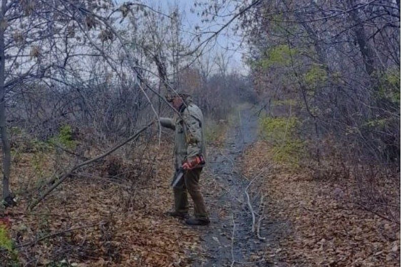 Благоустройство территории пгт Шахтёрский продолжается Благоустройство территории пгт Шахтёрский продолжается