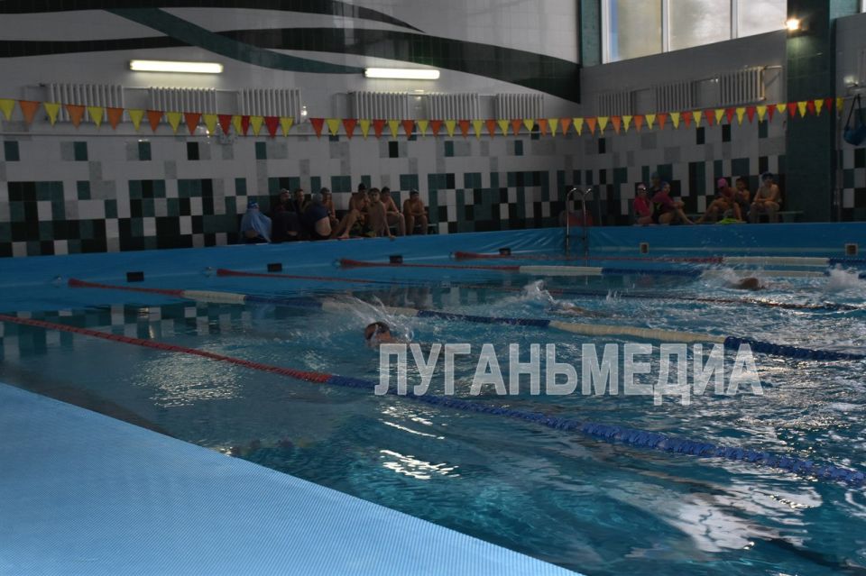 В спорткомплексе Антрацита среди школьников прошел турнир по плаванию В спорткомплексе Антрацита среди школьников прошел турнир по плаванию