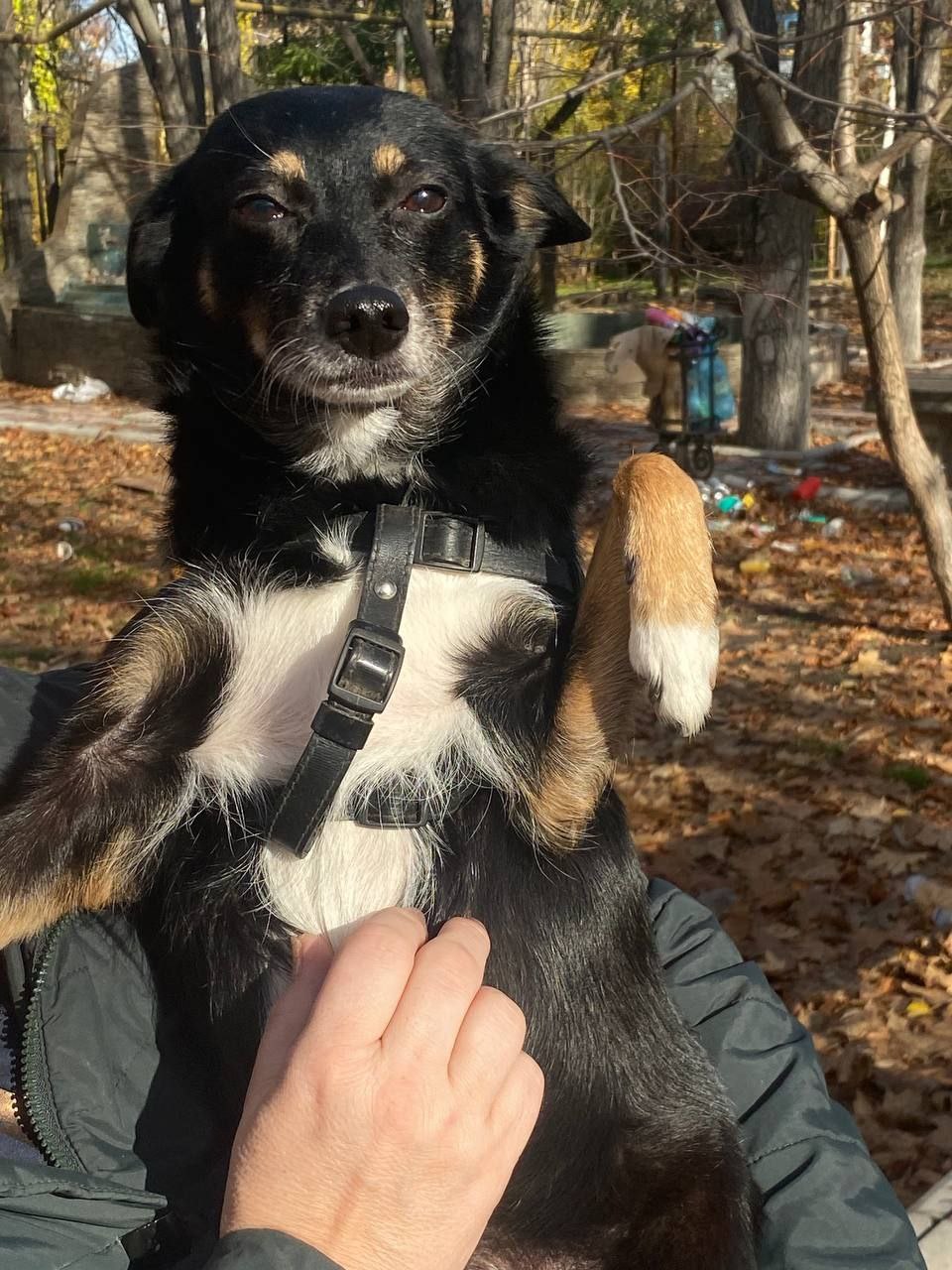 5 ноября на территории Луганской Народной Республики прогнозируется переменная облачность