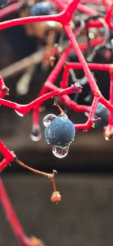   6      1    13   ,  ,     