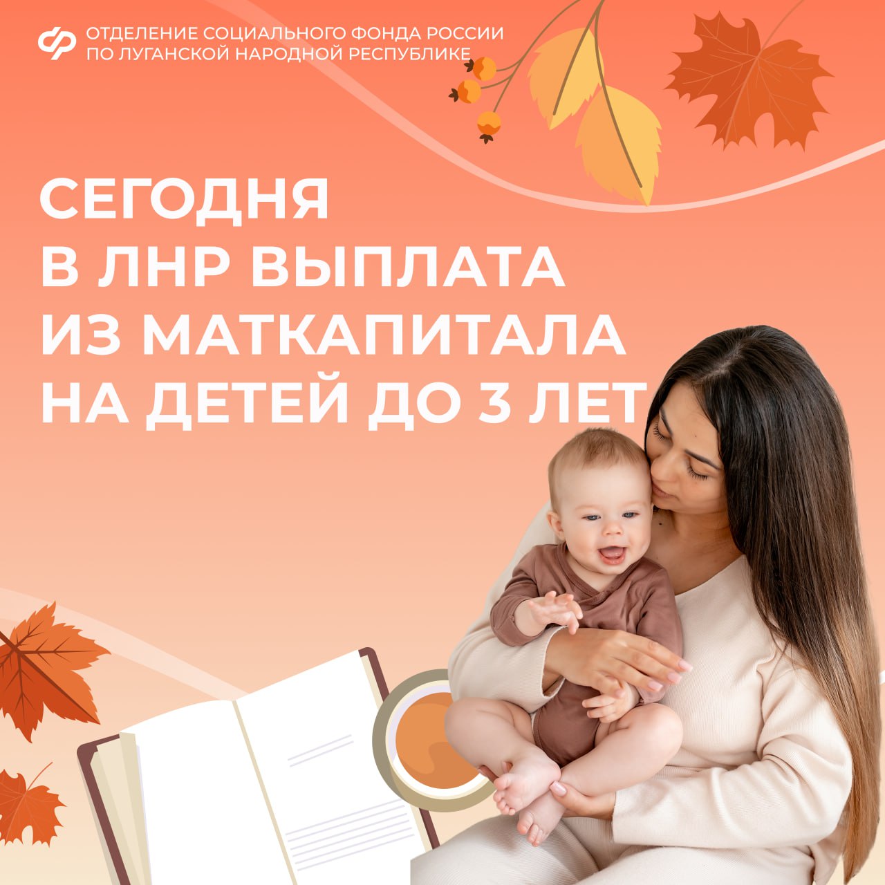 5 ноября — день зачисления ежемесячной выплаты из маткапитала в ЛНР