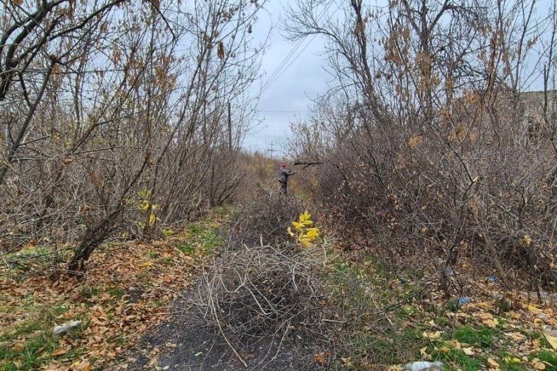 Благоустройство территории пгт Шахтёрский продолжается Благоустройство территории пгт Шахтёрский продолжается