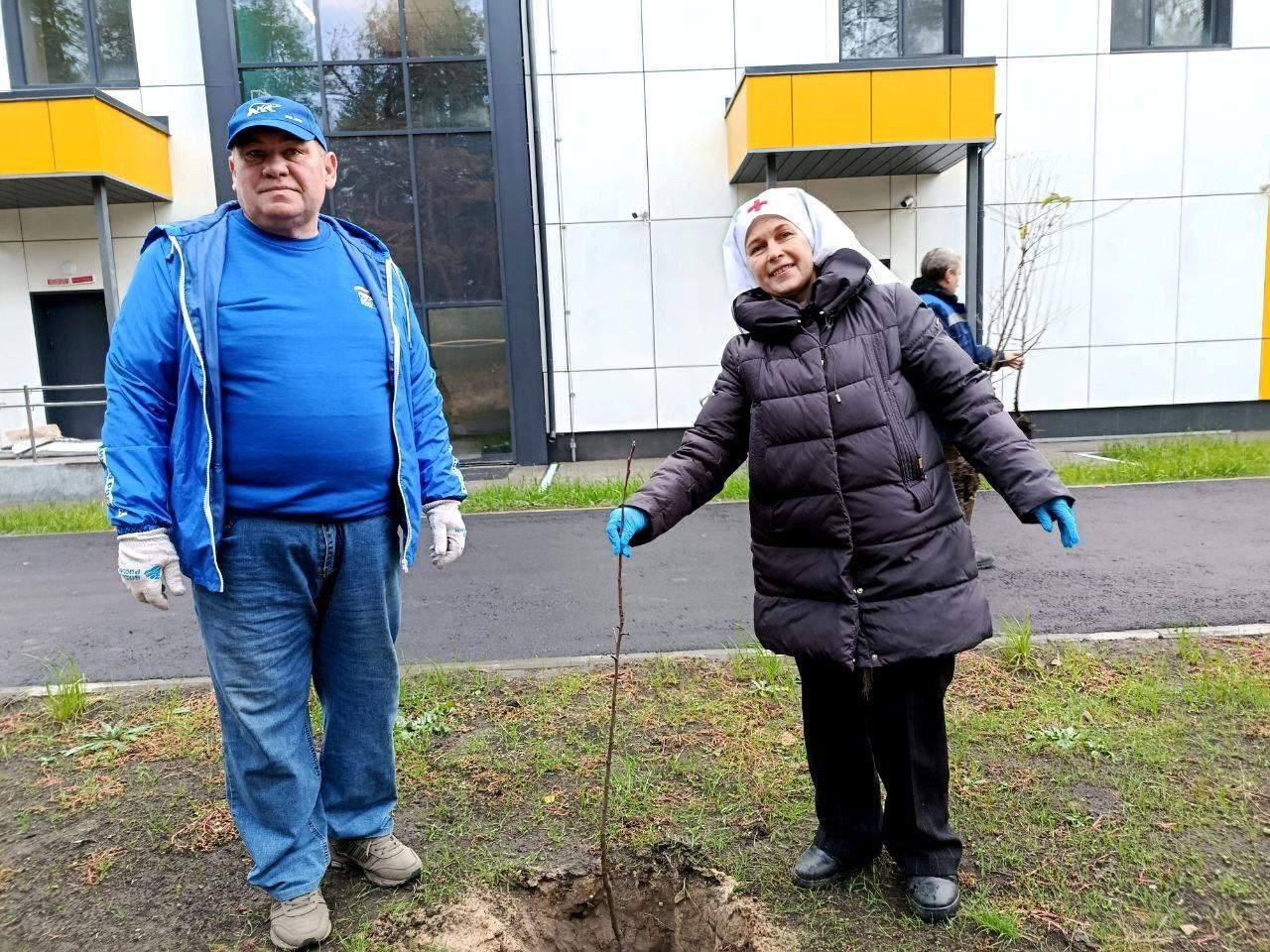 К празднику по всей республике единороссы высадили «Аллеи единства»
