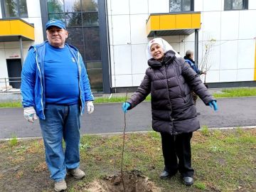 К празднику по всей республике единороссы высадили «Аллеи единства»