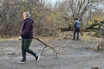 Благоустройство территории пгт Шахтёрский продолжается