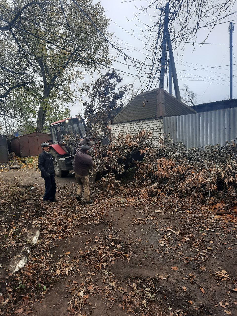 Андрей Рубанцов: Коммунальщики на страже чистоты: как убирают спиленные деревья Андрей Рубанцов: Коммунальщики на страже чистоты: как убирают спиленные деревья
