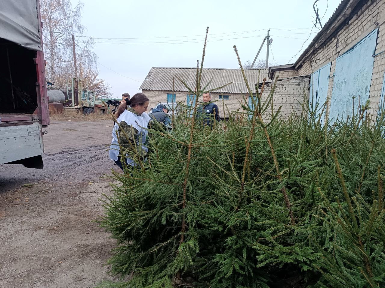 Автономная некоммерческая организация «Сад Памяти» передала Минприроды ЛНР 1500 саженцев деревьев Автономная некоммерческая организация «Сад Памяти» передала Минприроды ЛНР 1500 саженцев деревьев