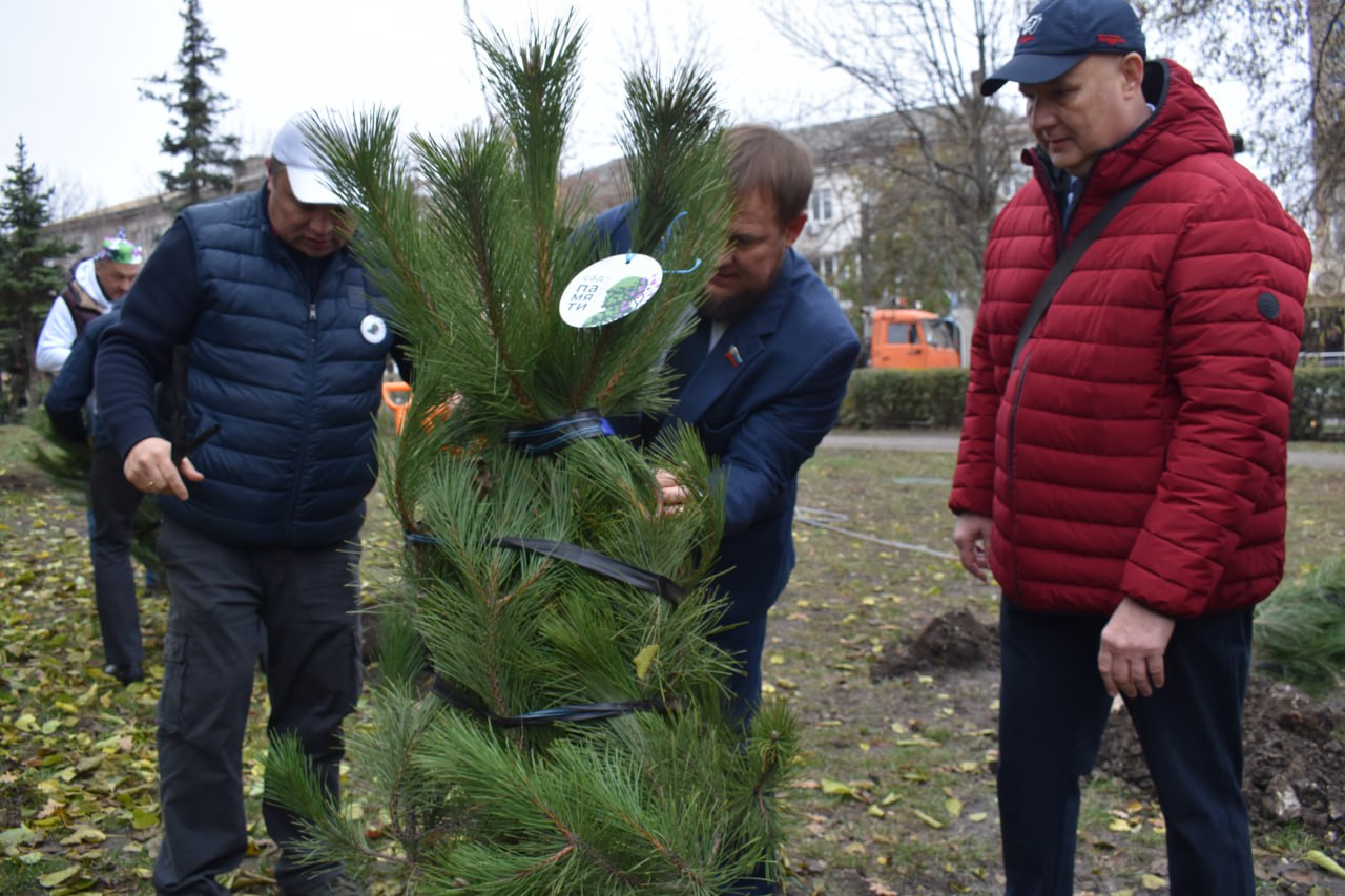 В Луганске в сквере имени Молодой гвардии высадили памятную аллею ПСБ В Луганске в сквере имени Молодой гвардии высадили памятную аллею ПСБ