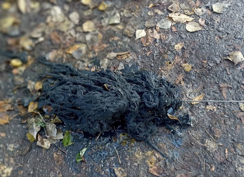 Напоминаем о необходимости соблюдения правил пользования внутридомовой системой водоотведения! Напоминаем о необходимости соблюдения правил пользования внутридомовой системой водоотведения!