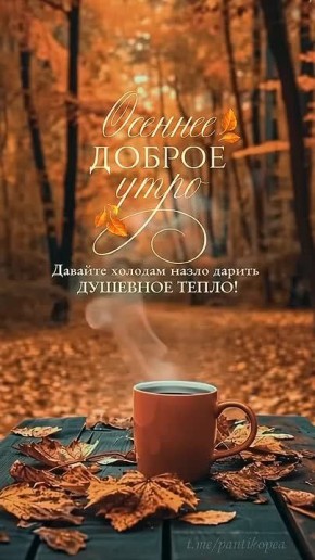 Чудесно, когда по утрам Вас будят приятные мысли! Потому что они сами по себе уже являются чудом, создающим Ваше настроение, рисуют улыбку и дают новое дыхание жизни!