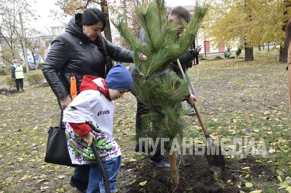 В столице ЛНР высадили новый Сад памяти В столице ЛНР высадили новый Сад памяти