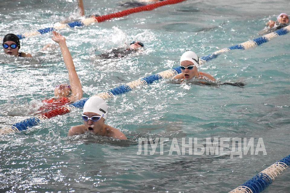 Мастера по плаванию из Москвы и Ярославля провели для юных спортсменов Кировска тренировочное занятие с новым инвентарем Мастера по плаванию из Москвы и Ярославля провели для юных спортсменов Кировска тренировочное занятие с новым инвентарем
