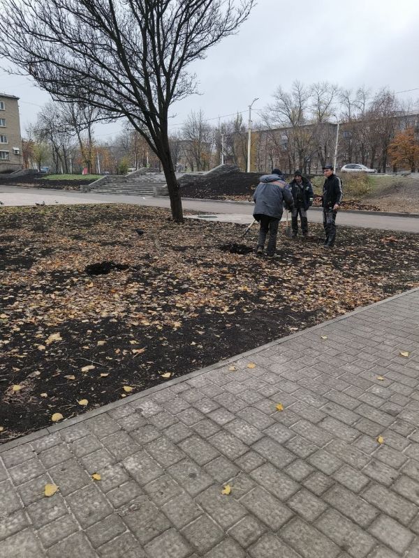 Наталия Жулинская: В сквере Победы высадили сирень Наталия Жулинская: В сквере Победы высадили сирень