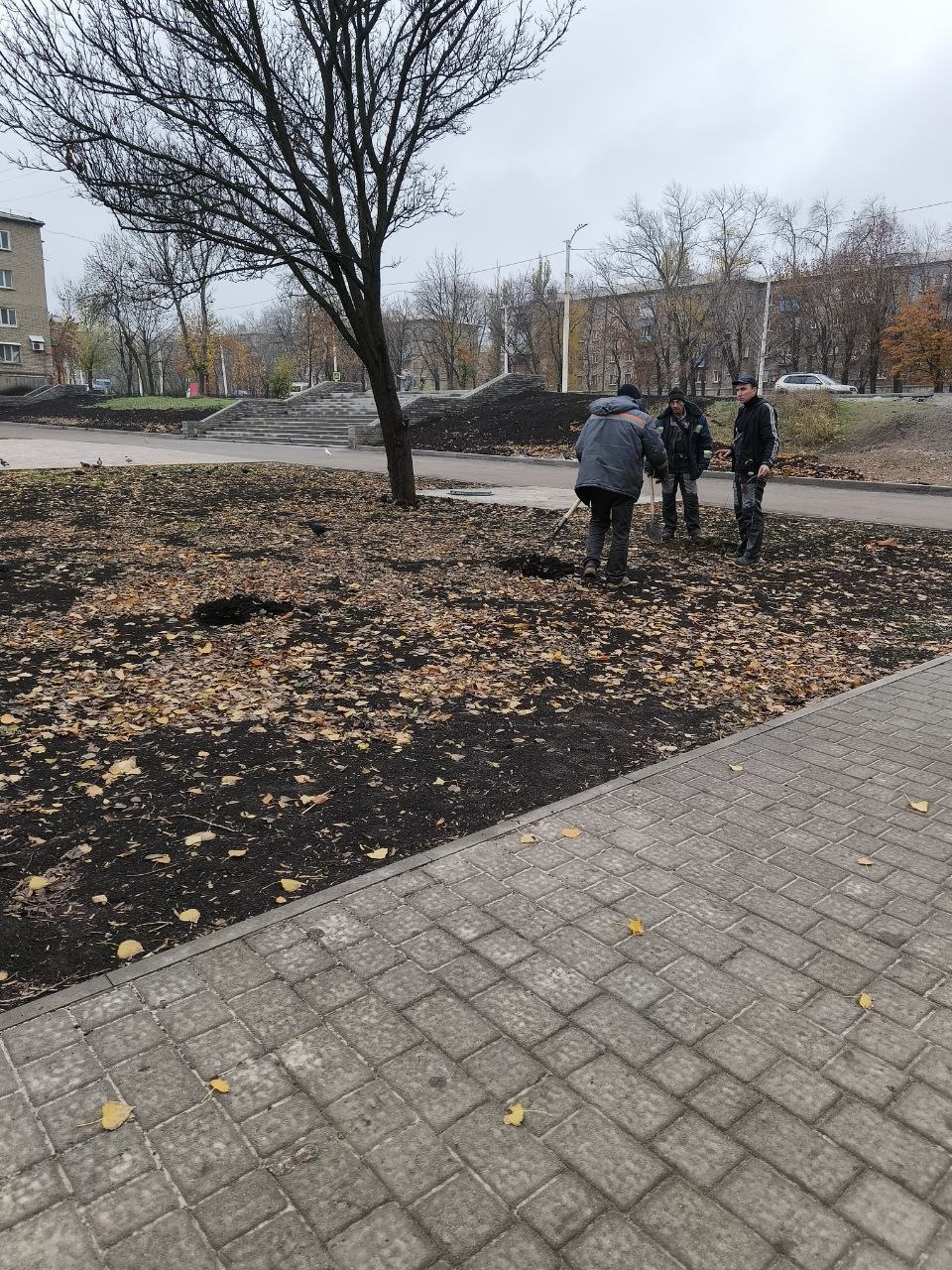 Наталия Жулинская: В сквере Победы высадили сирень Наталия Жулинская: В сквере Победы высадили сирень