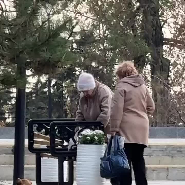 Мародерство средь белого дня