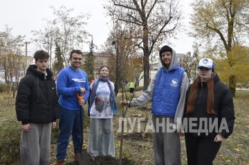 В столице ЛНР высадили новый Сад памяти