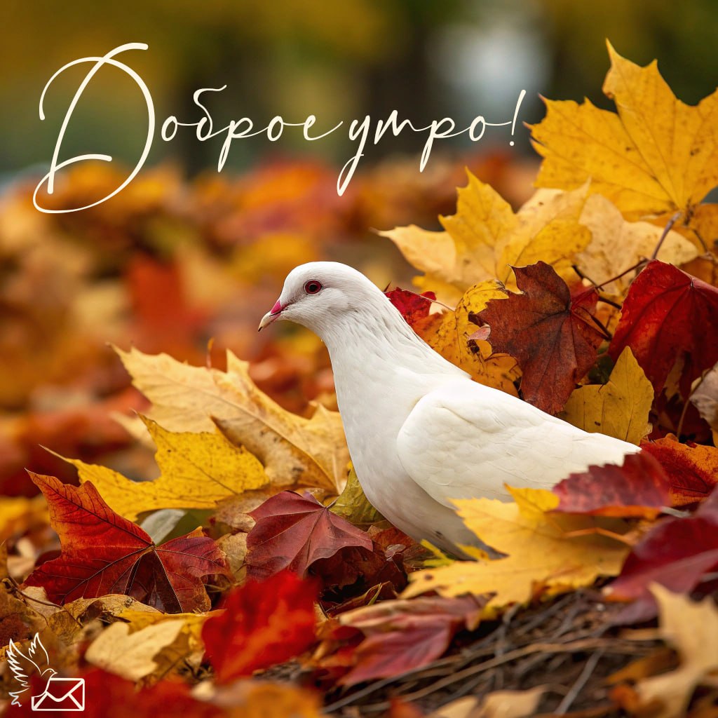 Просыпайся, осень зовёт! Пусть утро будет мягким и тёплым, как плед