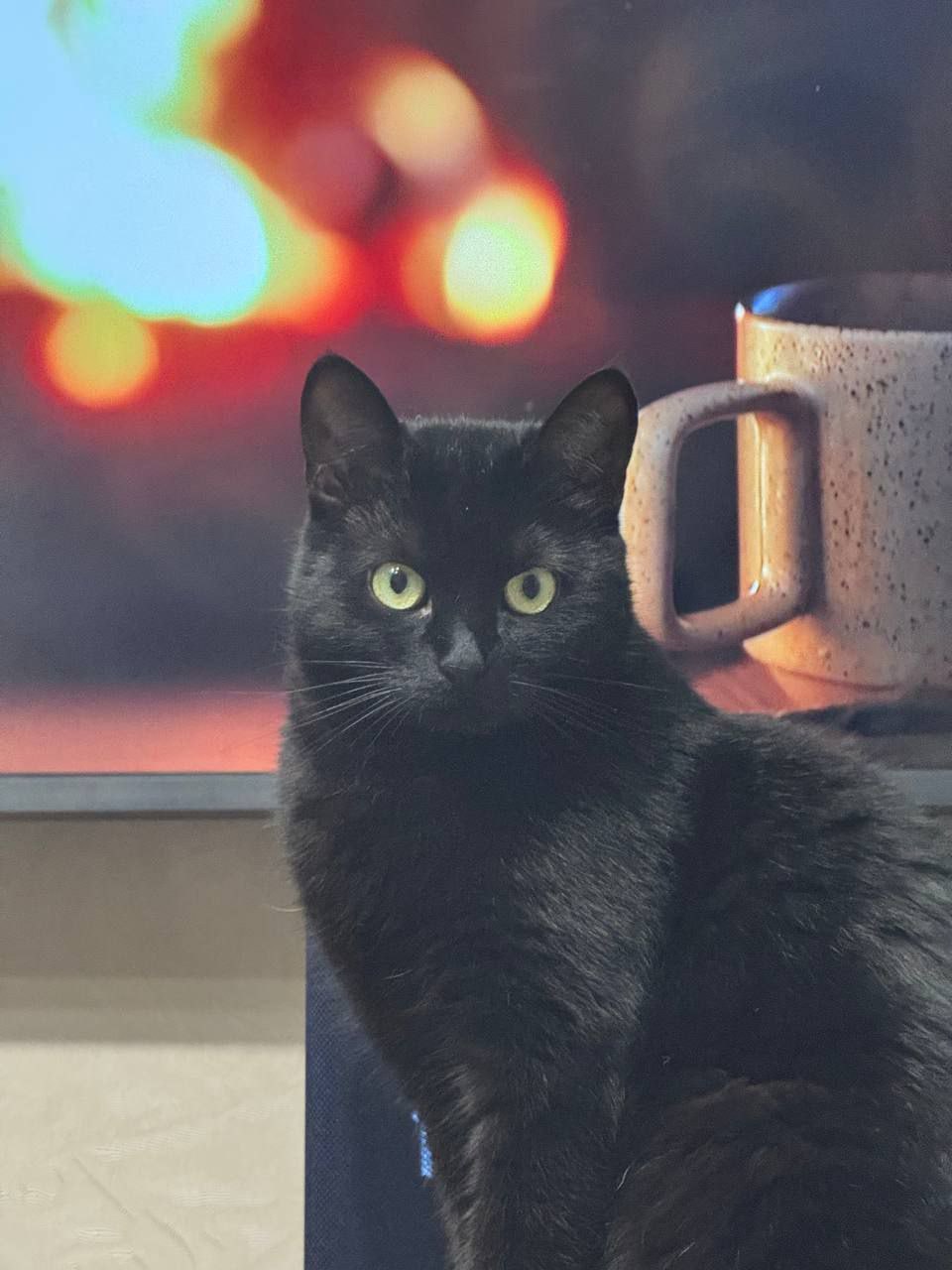 7 ноября на территории Луганской Народной Республики прогнозируется переменная облачность