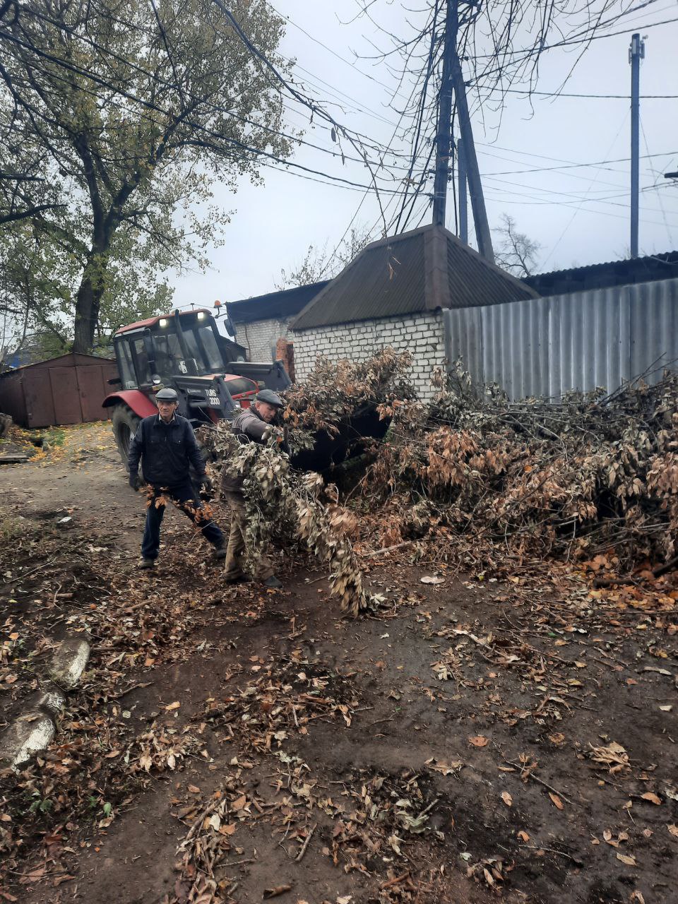 Андрей Рубанцов: Коммунальщики на страже чистоты: как убирают спиленные деревья Андрей Рубанцов: Коммунальщики на страже чистоты: как убирают спиленные деревья