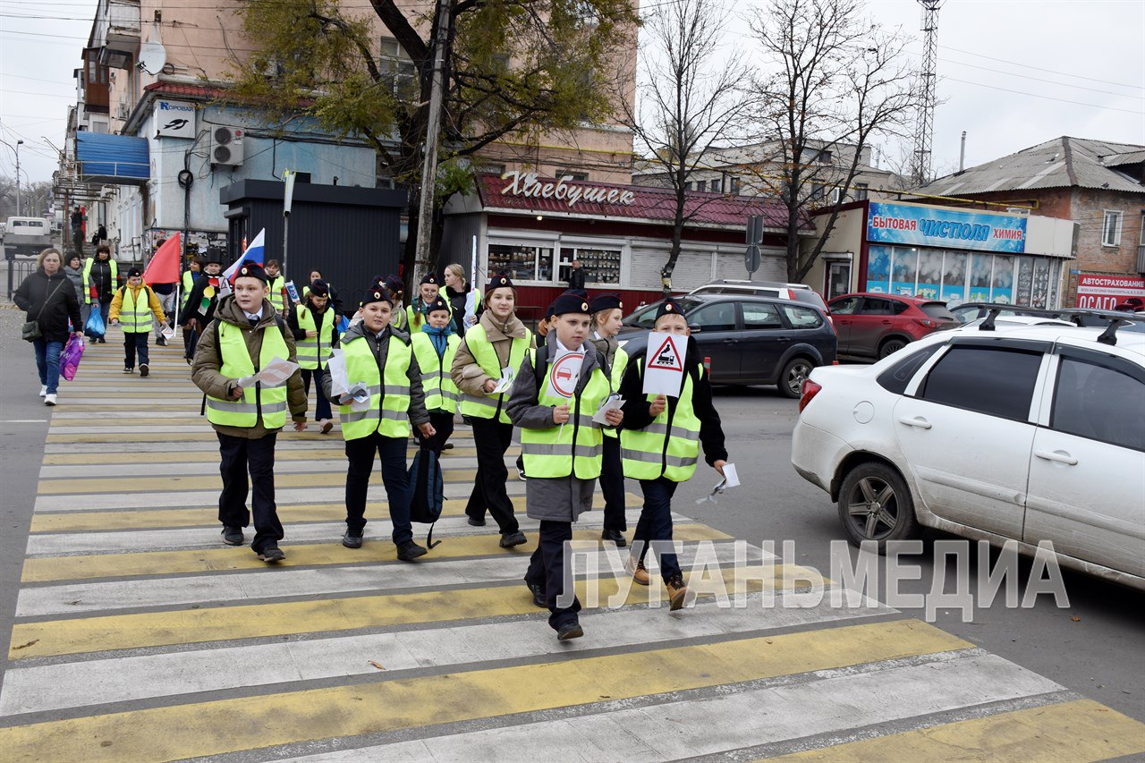 Краснолучские школьники провели акцию по профилактике ДТП Краснолучские школьники провели акцию по профилактике ДТП