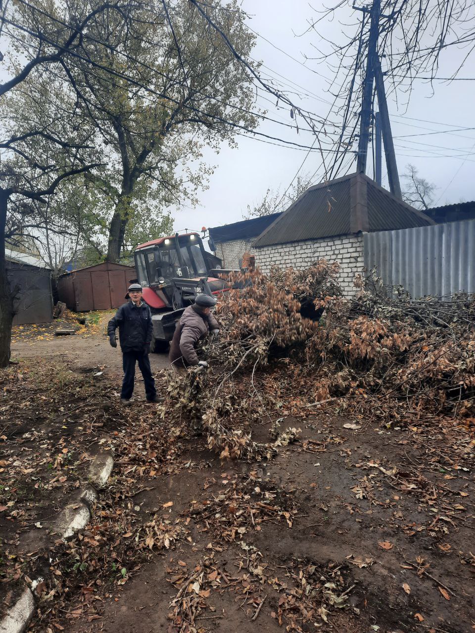 Андрей Рубанцов: Коммунальщики на страже чистоты: как убирают спиленные деревья Андрей Рубанцов: Коммунальщики на страже чистоты: как убирают спиленные деревья