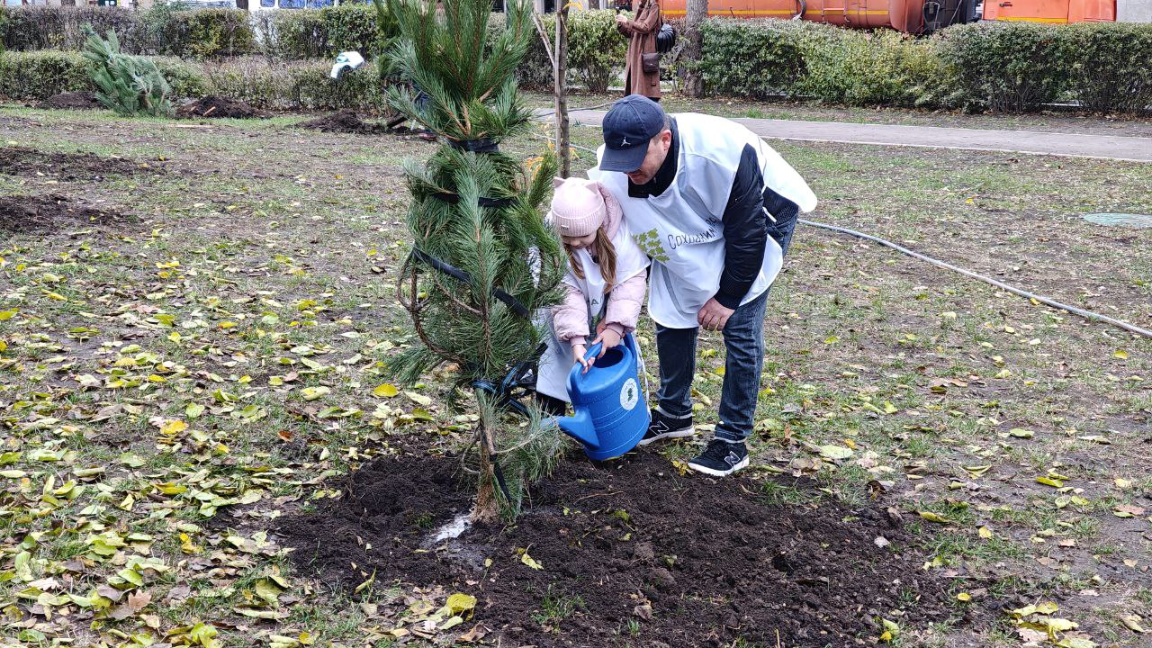 В Луганске заложили Аллею ПСБ в рамках международной акции «Сад памяти» В Луганске заложили Аллею ПСБ в рамках международной акции «Сад памяти»