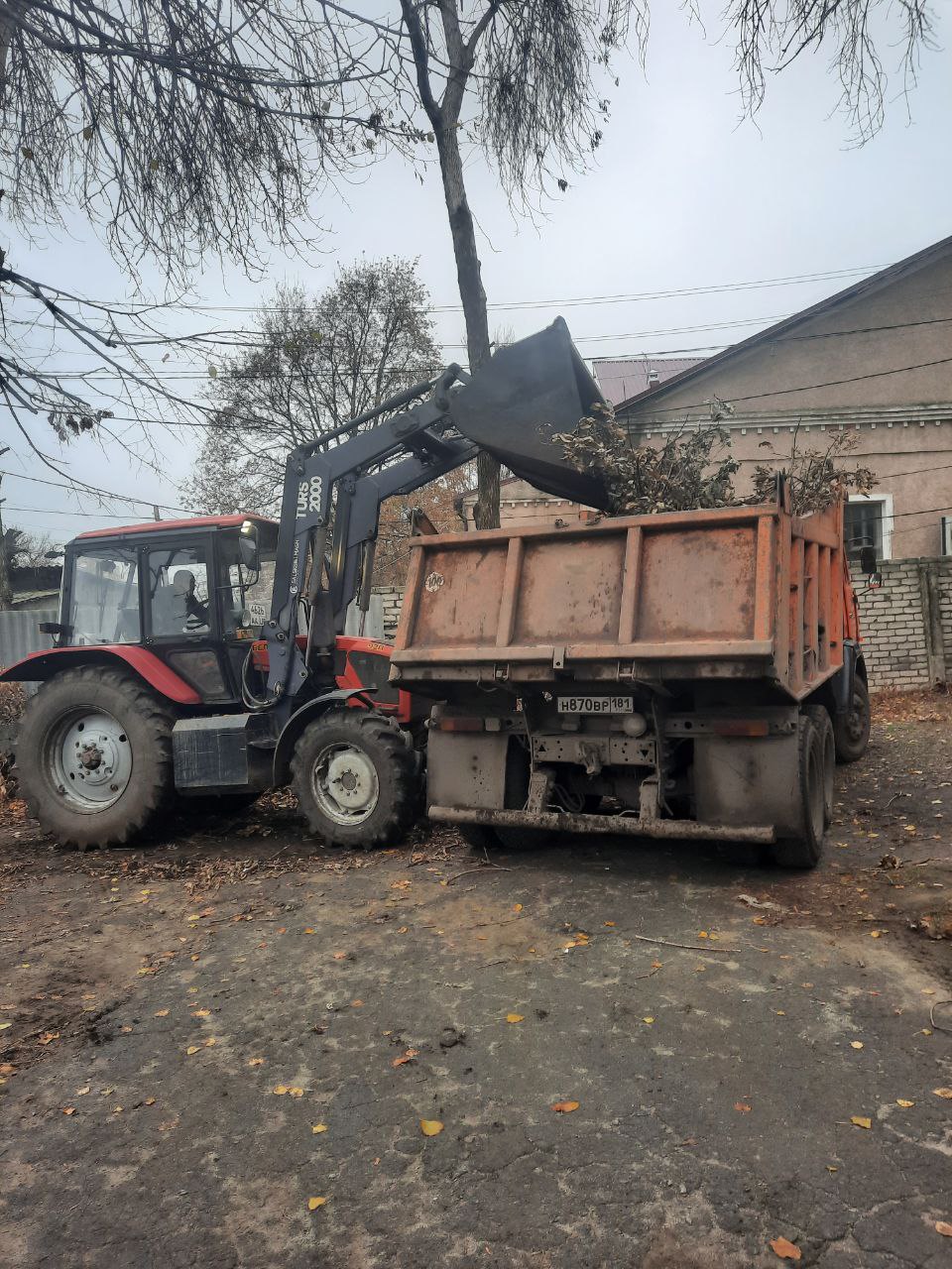 Андрей Рубанцов: Коммунальщики на страже чистоты: как убирают спиленные деревья