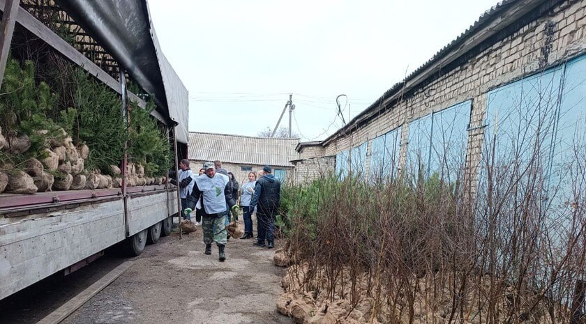 Автономная некоммерческая организация (АНО) «Сад памяти» передала Министерству природных ресурсов и экологи ЛНР 1,5 тыс