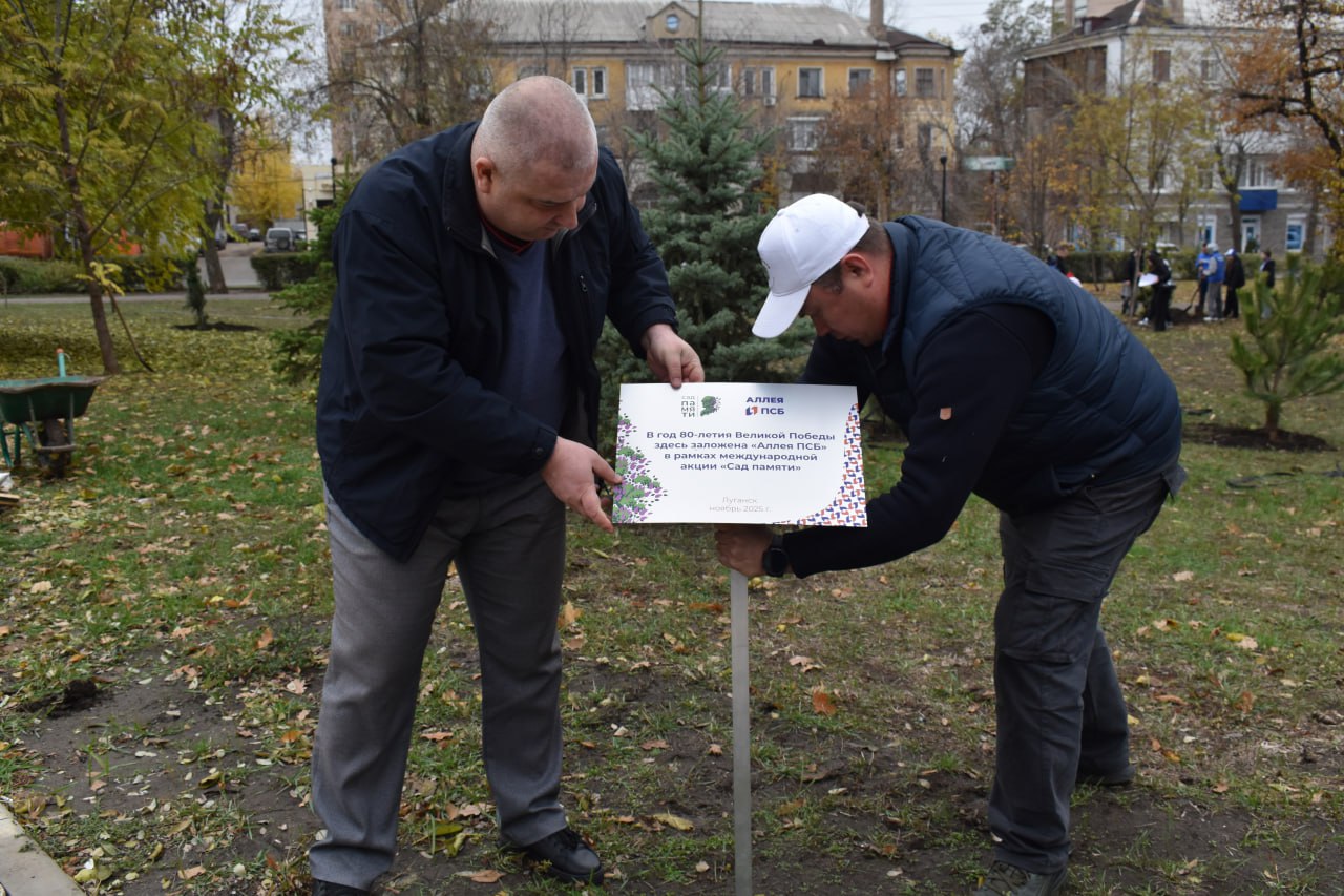 В Луганске в сквере имени Молодой гвардии высадили памятную аллею ПСБ В Луганске в сквере имени Молодой гвардии высадили памятную аллею ПСБ