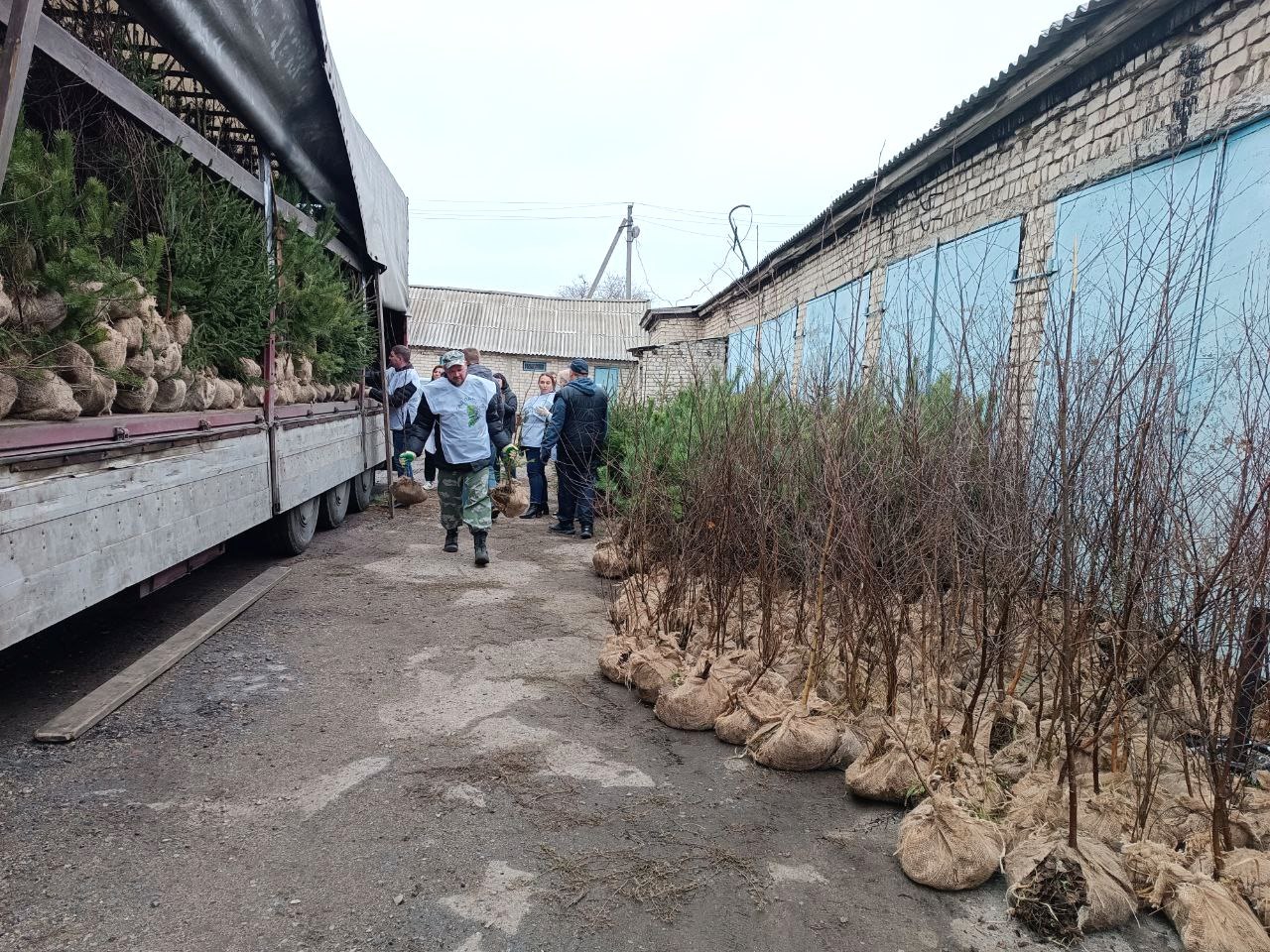 Автономная некоммерческая организация «Сад Памяти» передала Минприроды ЛНР 1500 саженцев деревьев