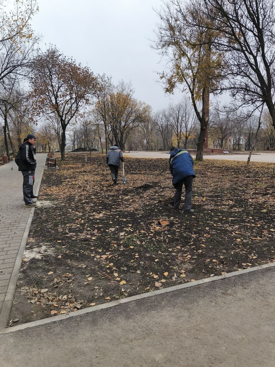 Наталия Жулинская: В сквере Победы высадили сирень Наталия Жулинская: В сквере Победы высадили сирень