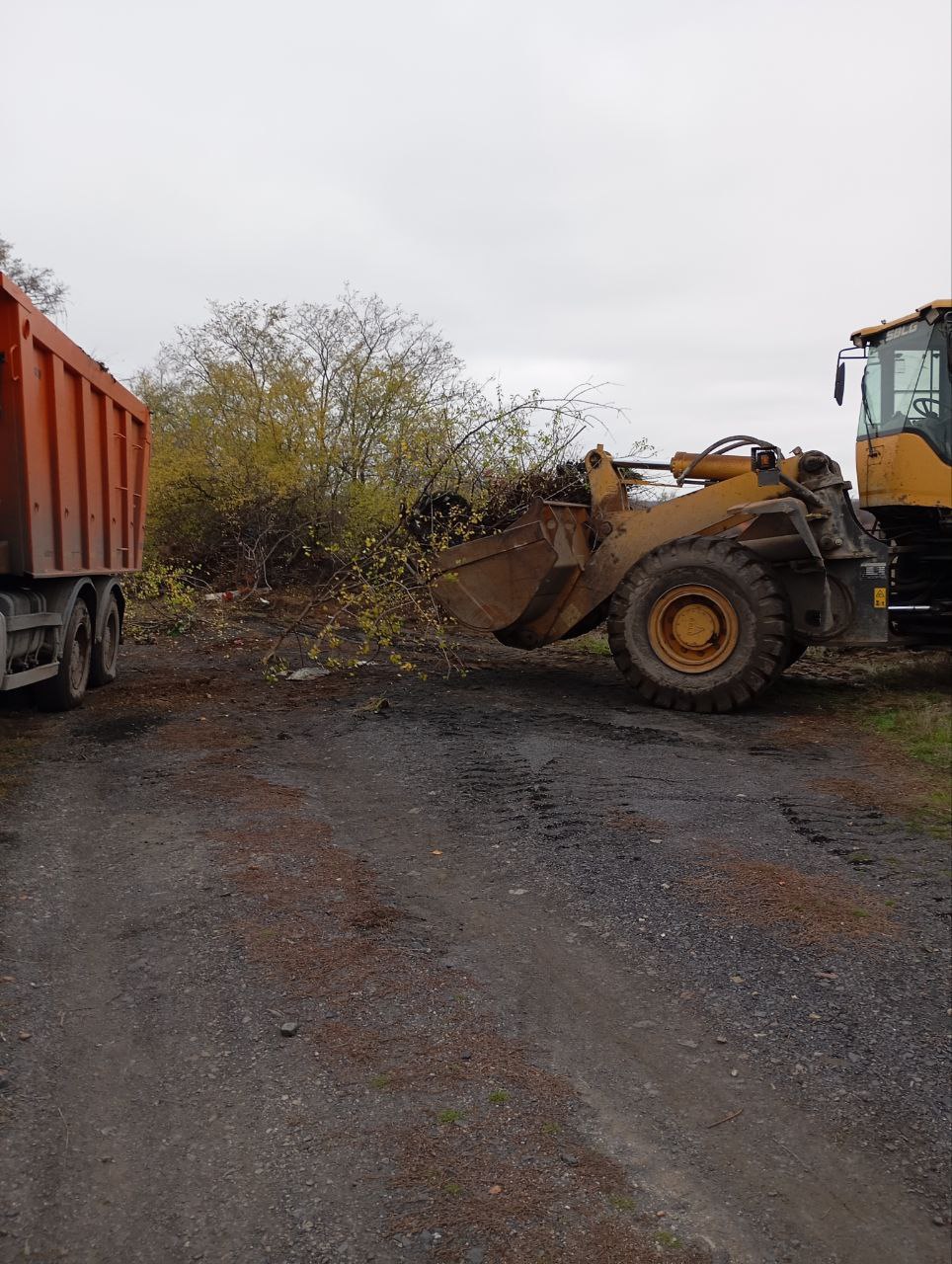 Чистота и порядок на кладбище пос Чистота и порядок на кладбище пос