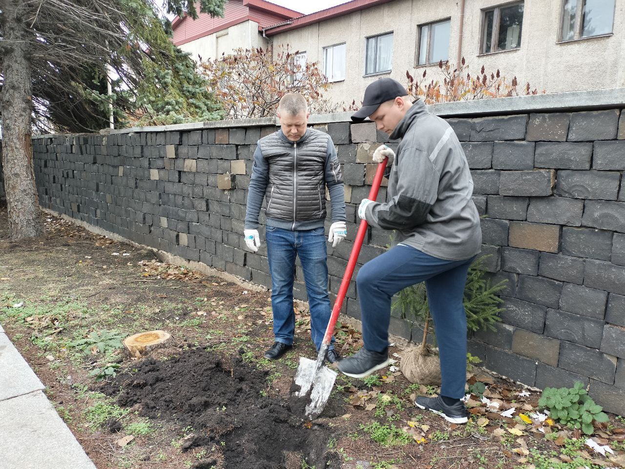 Сегодня по поручению Главы городского округа город Ровеньки Андрея Рубанцова работники учреждений культуры высадили ели возле мемориального комплекса «Слава» Сегодня по поручению Главы городского округа город Ровеньки Андрея Рубанцова работники учреждений культуры высадили ели возле мемориального комплекса «Слава»