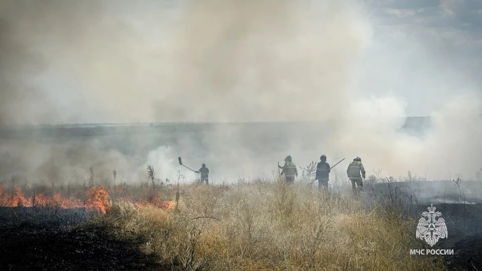 Пять пожаров потушили в ЛНР за сутки