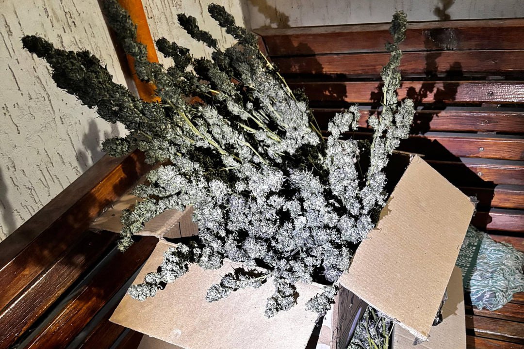 В Северодонецком округе задержан наркоторговец В Северодонецком округе задержан наркоторговец