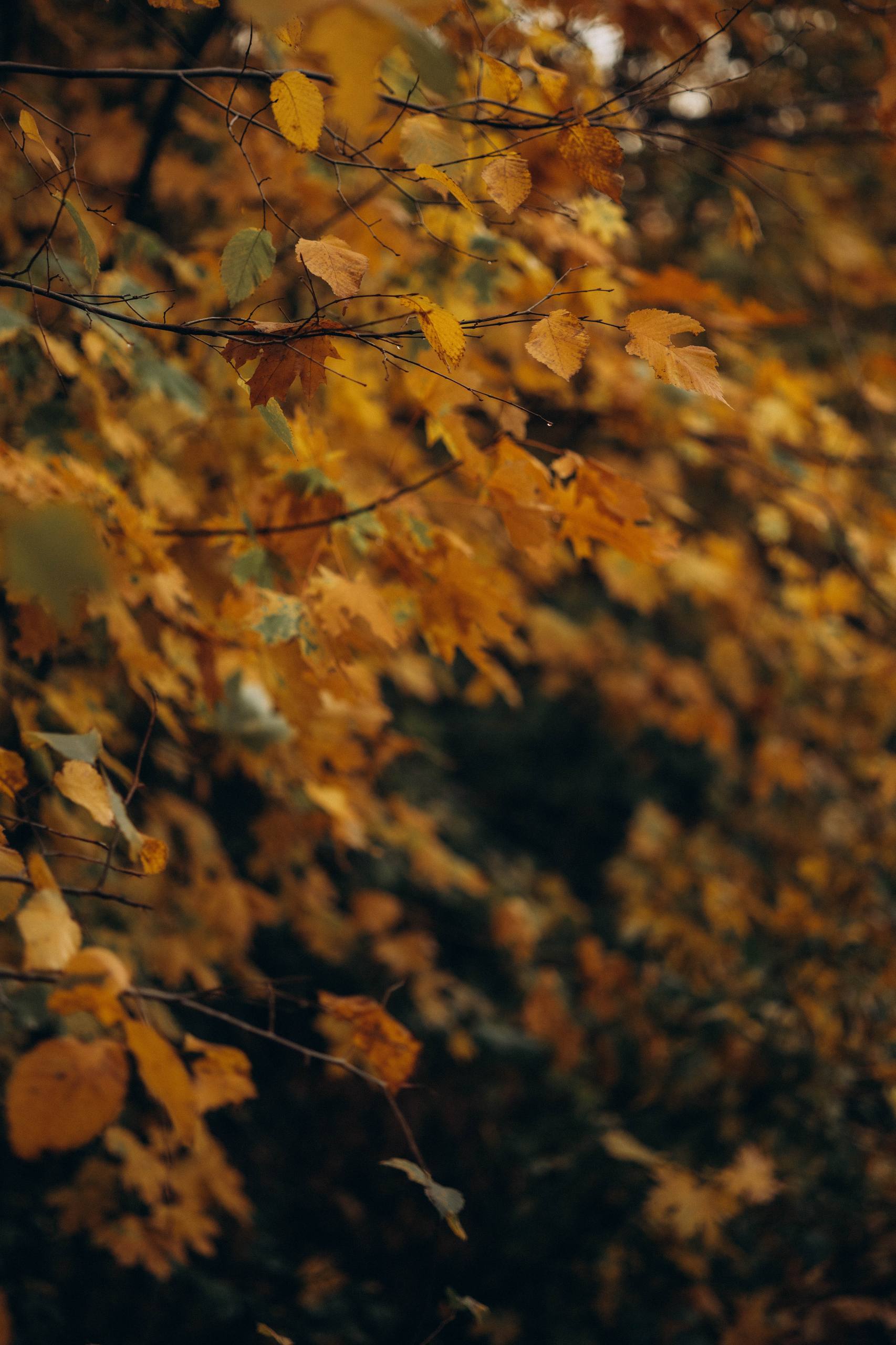 С добрым утром, жители Марковского муниципального округа!