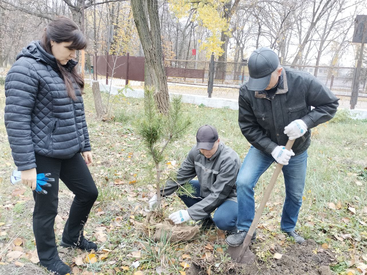 "Сад памяти": В Ровеньках высадили ели в рамках экологической акции!